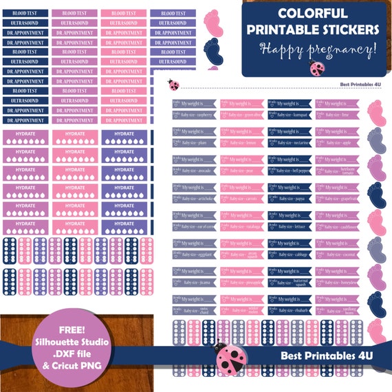 Pregnancy Planner Stickers Printable Milestones Planner