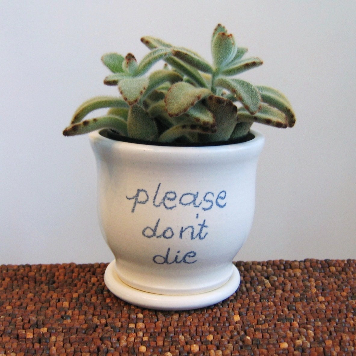 Ceramic Succulent Planter Please Don't Die Gag Gift