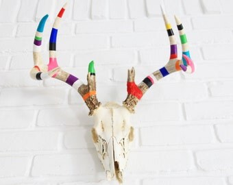 ON SALE*** - Painted Antlers + Skull - rainbow