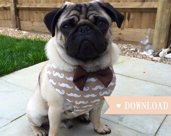DIY Dog Harness Sewing Pattern and Full Instructions PDF Download