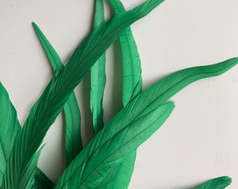 VOGUE COQUE TAIL Feathers , Kelly Green / 162