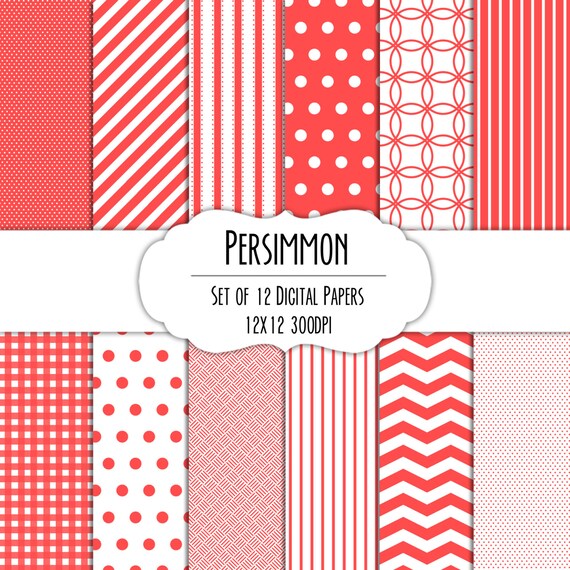 What does persimmon taste like image