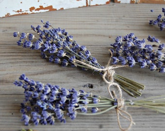 Dried Lavender Bunches / SIX each Mini Lavender Bouquets / Sprigs / Wedding Decor /Shower Decor