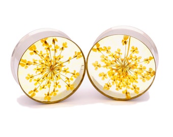 Yellow Queen Anne's Lace Embedded Flower Plugs gauges - 9/16", 5/8", 3/4", 7/8", 1"