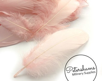 Loose Goose Nagorie Feathers for Millinery and Hat Trimming - Light Pink