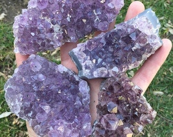 Amethyst Clusters