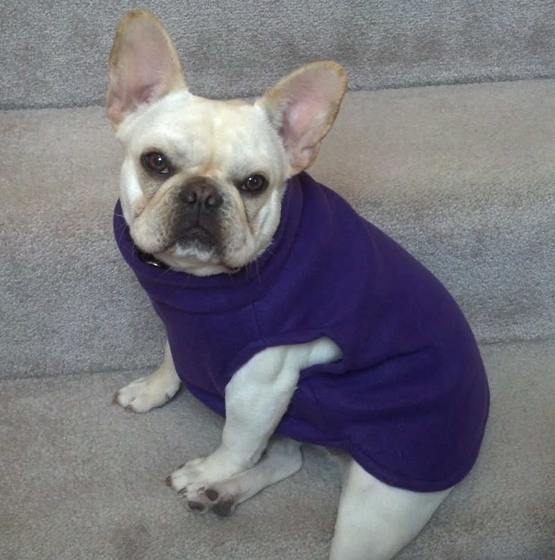 French Bulldog Pretty Purple Fleece Pullover Jacket with Stand