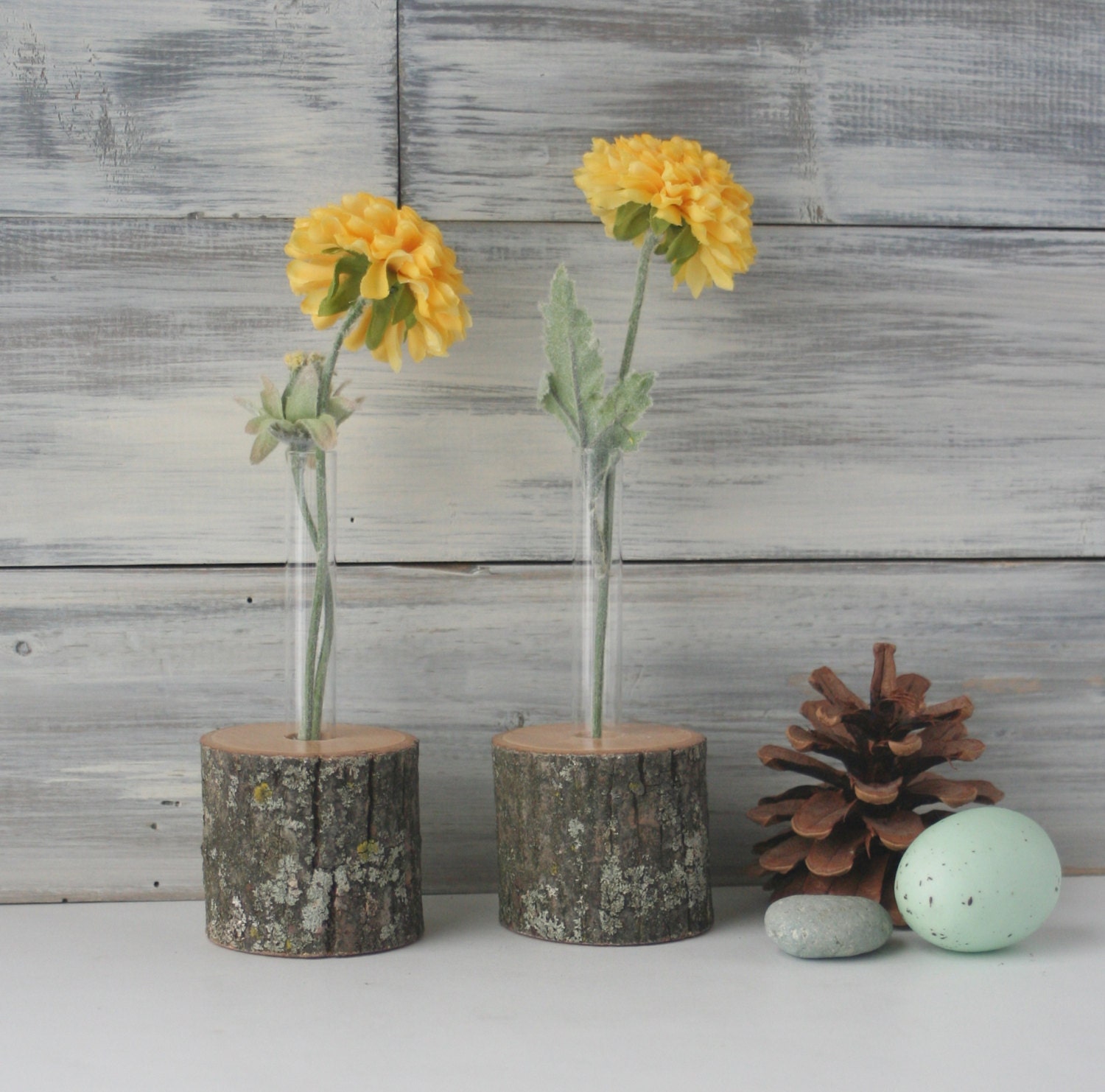 Rustic Bud Vases Test tube VasesSet of Twonatural by