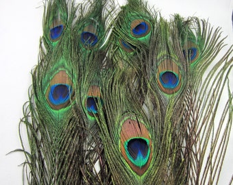 10 Peacock eyes Peacock feathers Peacock plumes craft feathers