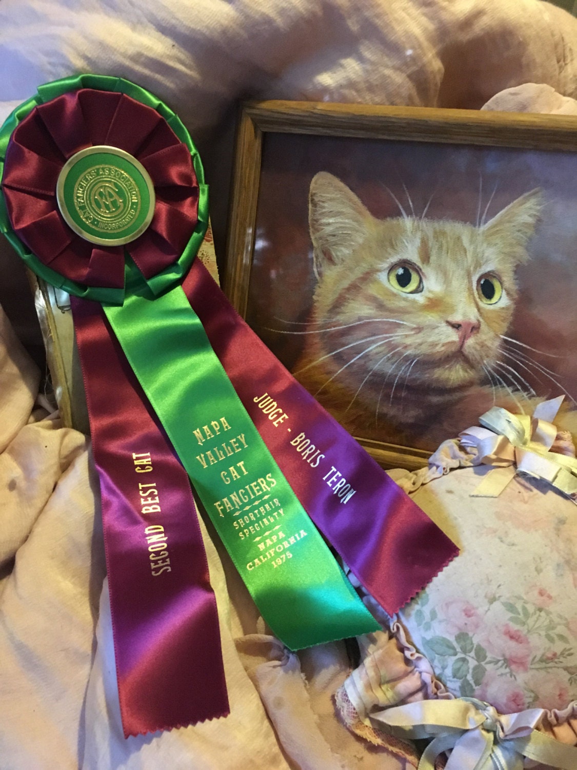 Vintage CFA CAT Show Satin Ribbon Rosette Award 2nd Best
