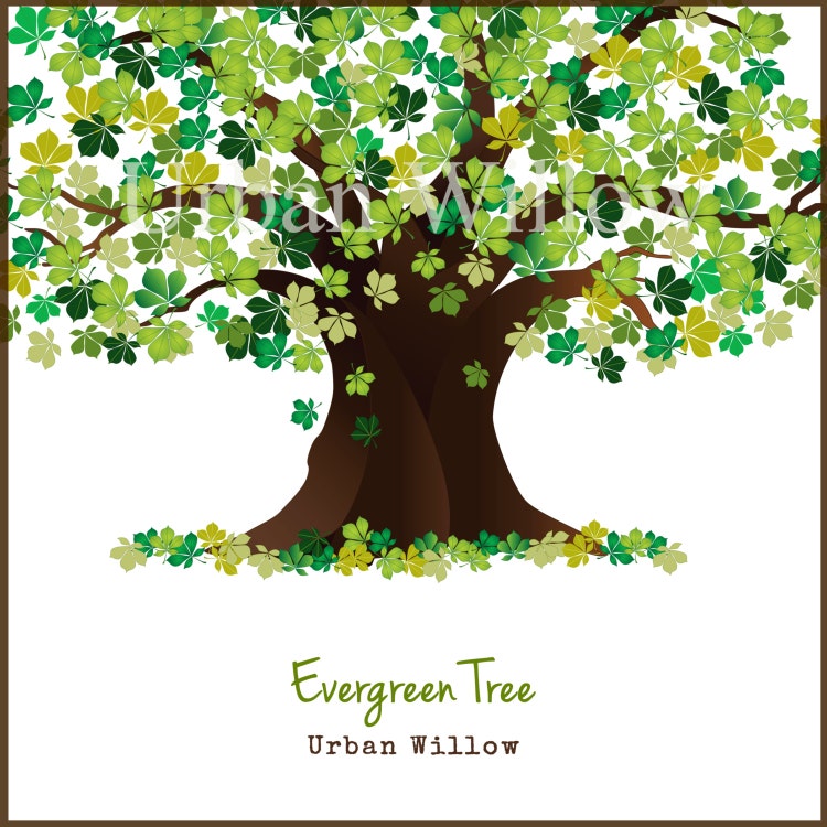 Evergreen Clipart Tree Tree Graphic Green Tree Oak by UrbanWillow