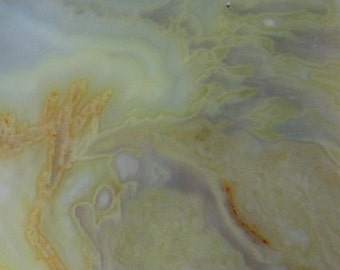 Yellow n White Agate Slab RS0350