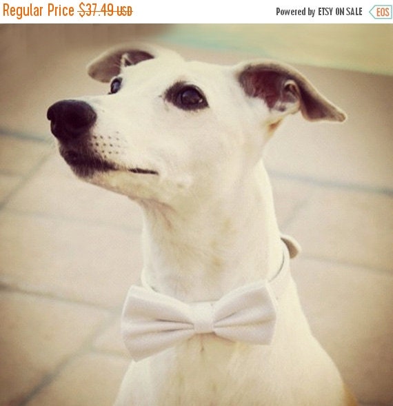 White Dog Bow Tie Wedding Dog Collar Dog Bow tie with high quality white leather collar
