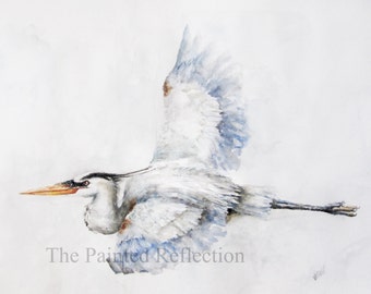 Heron Watercolor/ Great Blue Heron Print- Bird painting- bird print/ bird illustration