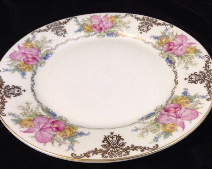 Vintage Rosenthal China Dinner Plate With Orchids, Selb-Germany US Zone, Circa 1908-1953, Winifred 10 Inch Plate with Orchids and Scrolls