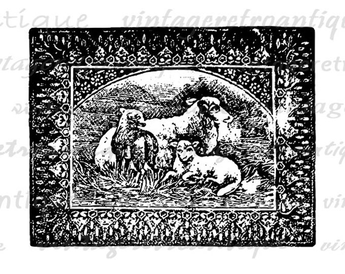 Printable Digital Three Sheep Graphic Illustration Image Download Vintage Clip Art for Transfers Printing etc HQ 300dpi No.1556