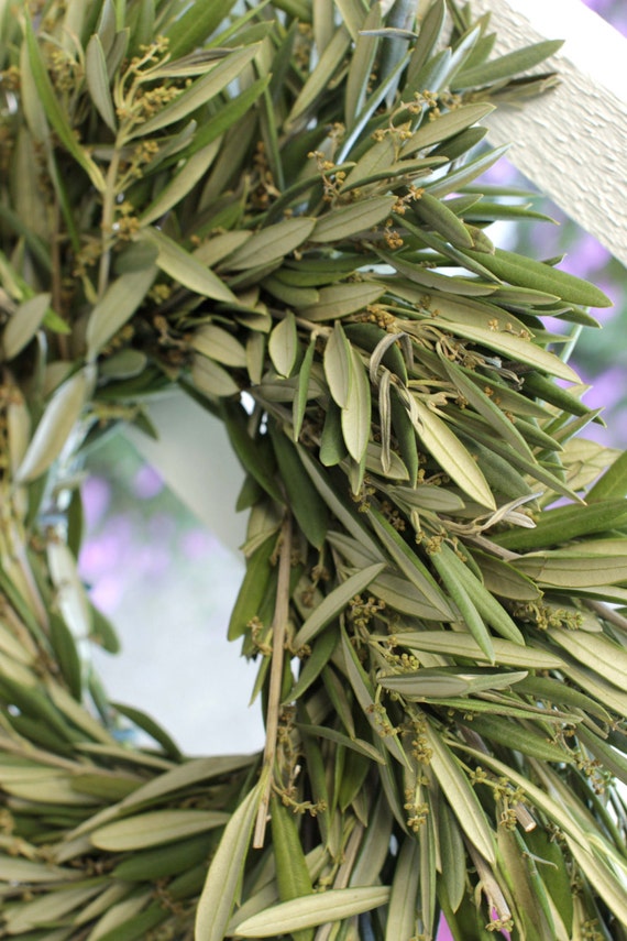 Olive Branch Wreath 12 Fresh by WholesaleMagnolia on Etsy