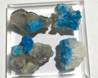 4pc 13.9ct Cavansite w/ Stilbite Set - Wagholi Mine, Maharashtra, India - Item:CV16010