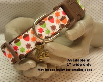 Autumn, fall, acorns, colorful leaves, squirrel 1" wide adjustable dog collar with squirrel charm LEASHES AVAILABLE