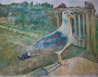 Bird Gull Fori Imperiali Rome watercolor, original painting, watercolor Gull