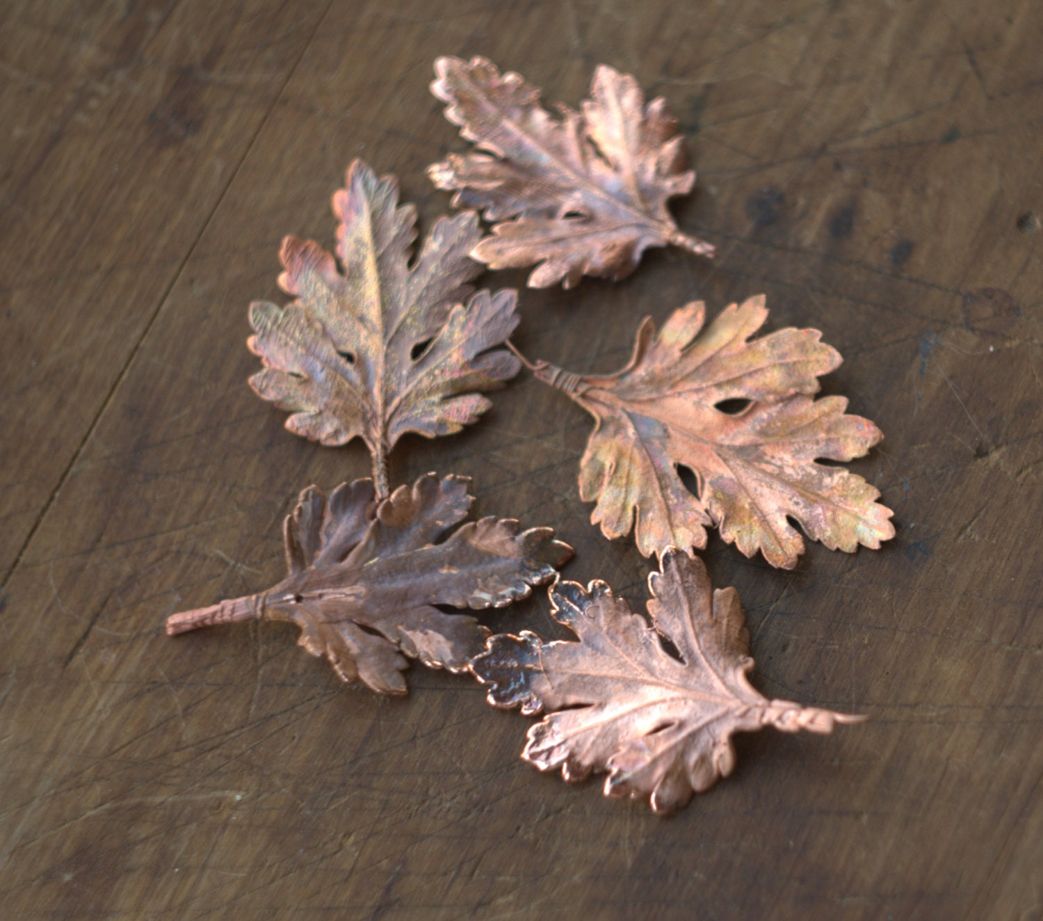 Leaves of chrysanthemum electroformed with copper natural