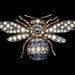 AbeilleFinds