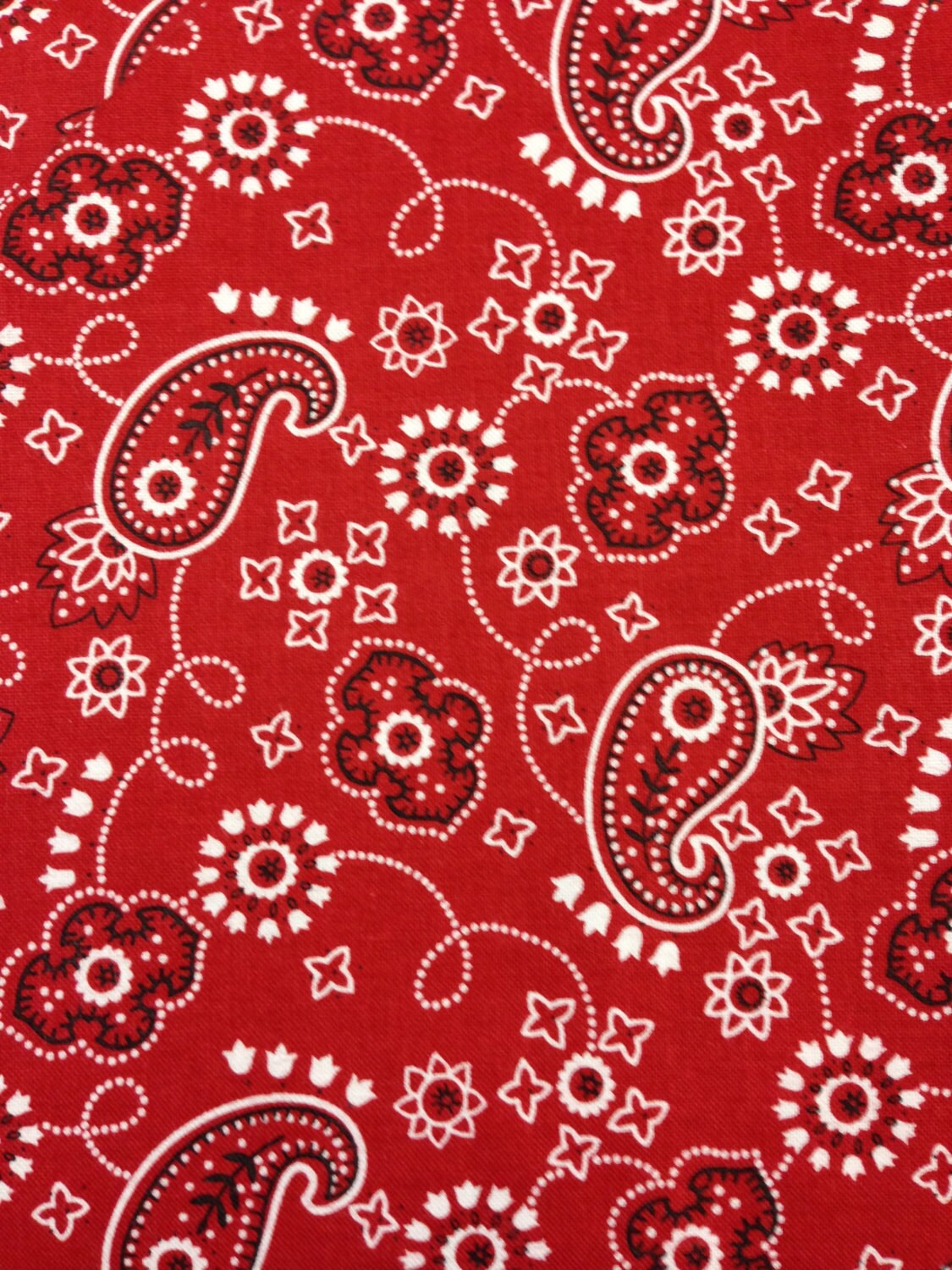 Round Up II for Blank Fabrics Red Bandana Fabric July 4 Red