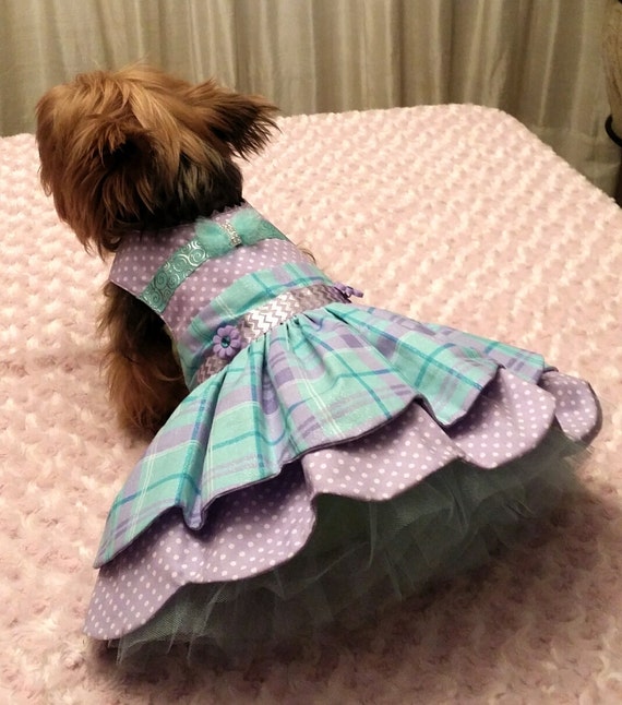 Special occasion dog dress size medium