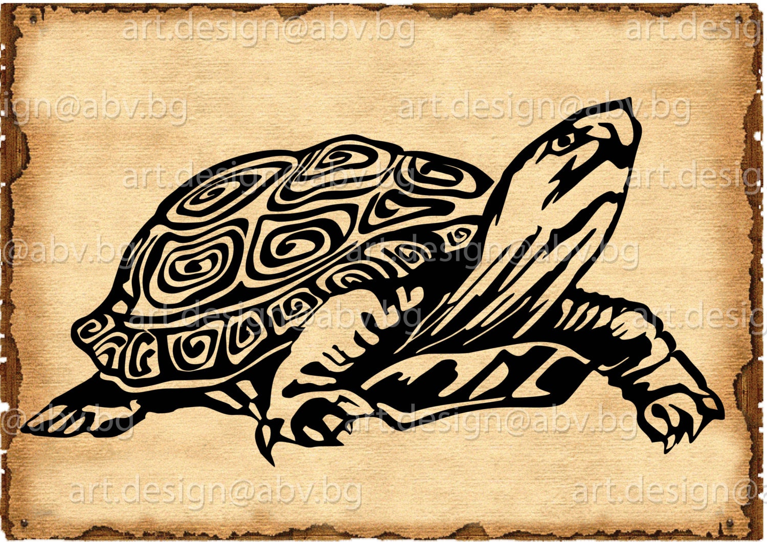 Vector TORTOISE SVG DXF ai eps pdf png jpg Download