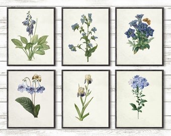 Blu flowers print Set, Fleurs de Jardin Art, Botanical Art, Glicee art print, Antique Botanical poster, Garden Flowers, 8x10", 5x7", 11x14"