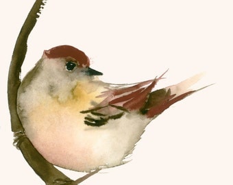 Original Watercolor Painting Red Brown Bird