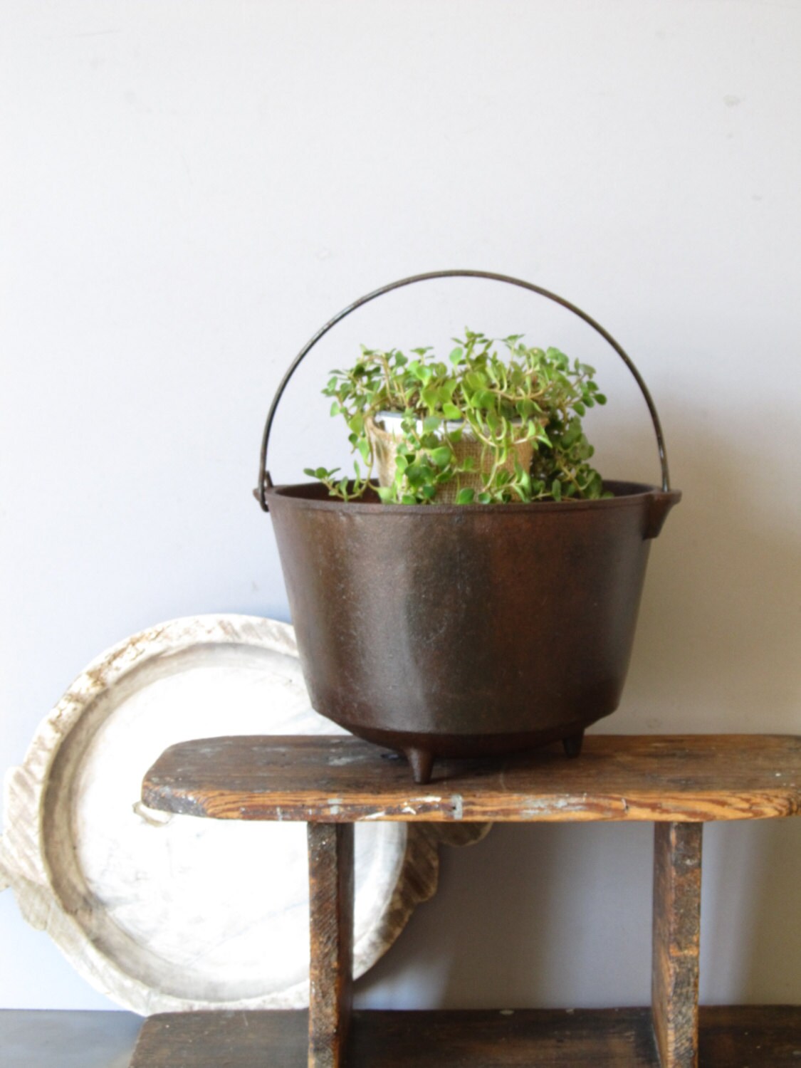 Vintage cast iron cauldron planter farmhouse iron stone pot