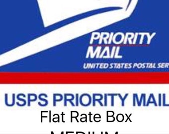 usps overnight flat rate envelope