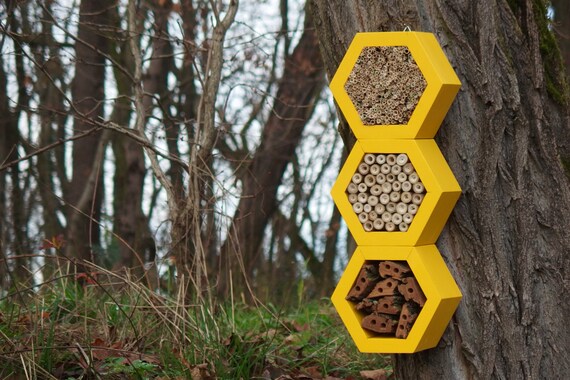 https://www.etsy.com/listing/260246839/bee-hotel-insect-house-mason-bee-home?ga_order=most_relevant&ga_search_type=all&ga_view_type=gallery&ga_search_query=bee%20hotel&ref=sc_gallery_11&plkey=fa0ba424eab7f1fdda3b425c209ebd9e07a3ec02:260246839