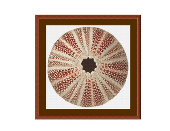 Sea Urchin Shell Cross Stitch Chart Instant Digital Download