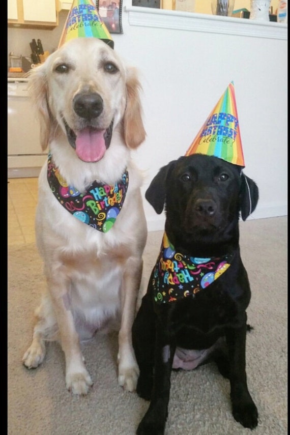 Tieon Dog Bandana Happy Birthday by PawsClawsCorner on Etsy