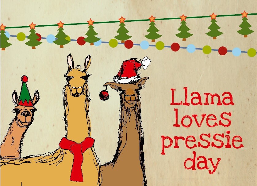 Luxury 10 Christmas Llama Card