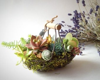 Country chic succulent basket/vintage egg basket/miniature garden/wedding favor/wire basket/succulent arrangement/moss/rustic decor