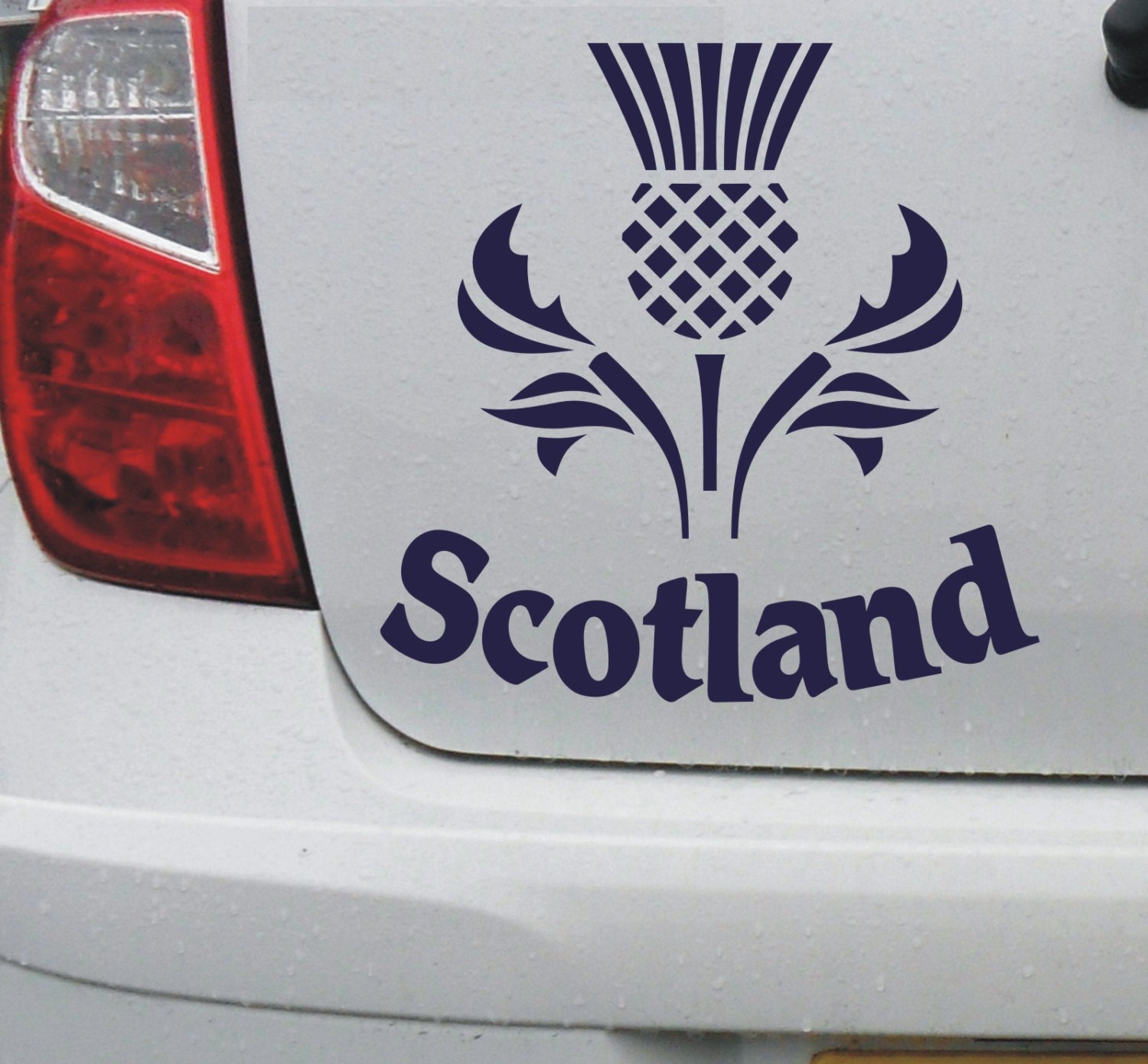 Scotland scottish thistle 1 vinyl decal car bike bumber