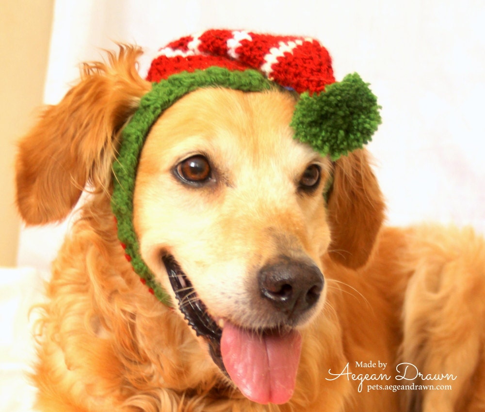 Elf Hat for Dogs Dog Elf Hat Holiday Dog Hat by AegeanDrawn