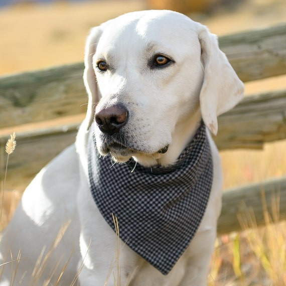 Black Gray Plaid Dog Bandana