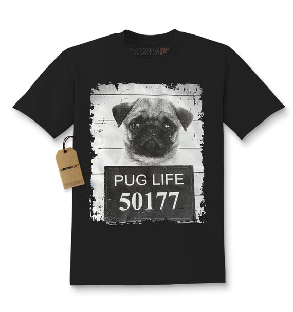 pugs for sale pittsburgh pa domestic sale 174 baby pugs in pennsylvania pugs for sale pittsburgh pa domestic sale 174 baby pugs in pennsylvania