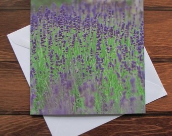 Lavender Greetings card 14cm square