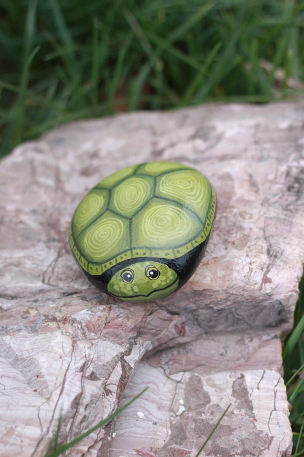 painted-rocks-as-turtles-0c1