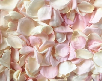 Rose Petals, Ivory & Blush blend, REAL freeze dried rose petals, perfectly preserved