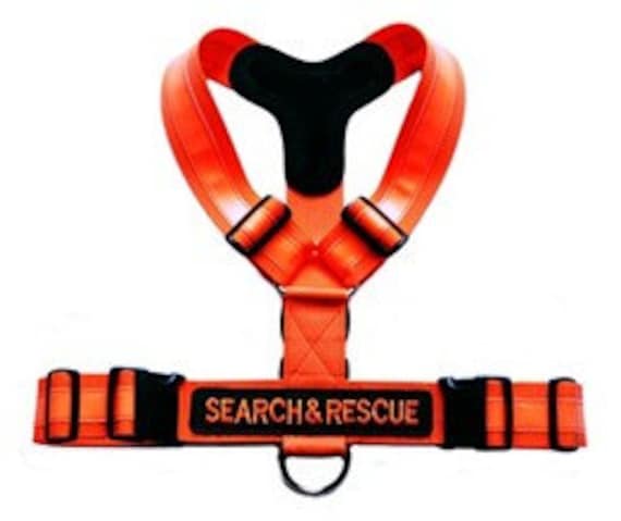 Search And Rescue Harness