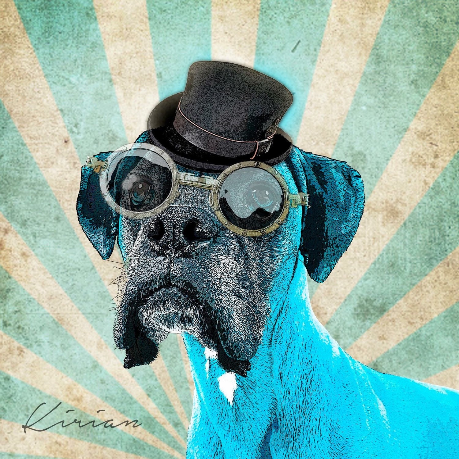 dog pop vinyl