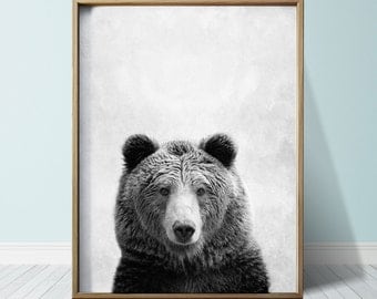 Bear Print Bear Poster Wall Art Print Animal Print Bear Art