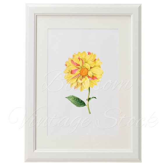 Yellow Flower Clipart Yellow Flower PNG Illustration