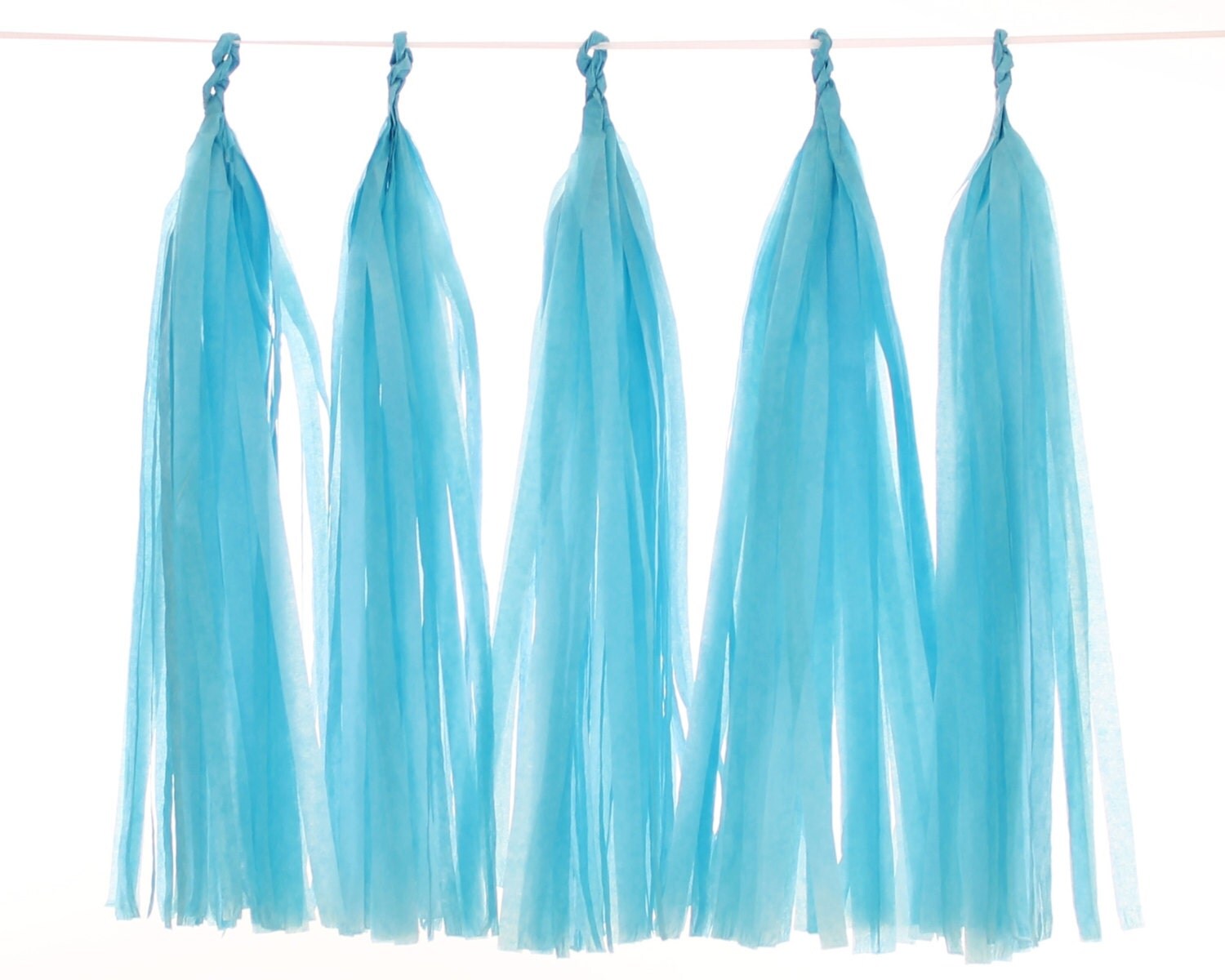 Tissue Paper Tassel Blue Tassel Garland Wedding Photo